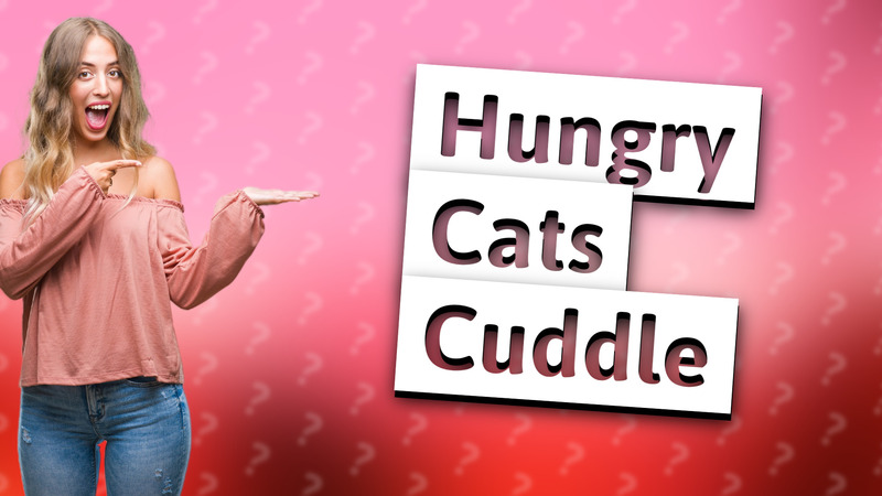 Hungry Cats Cuddle
