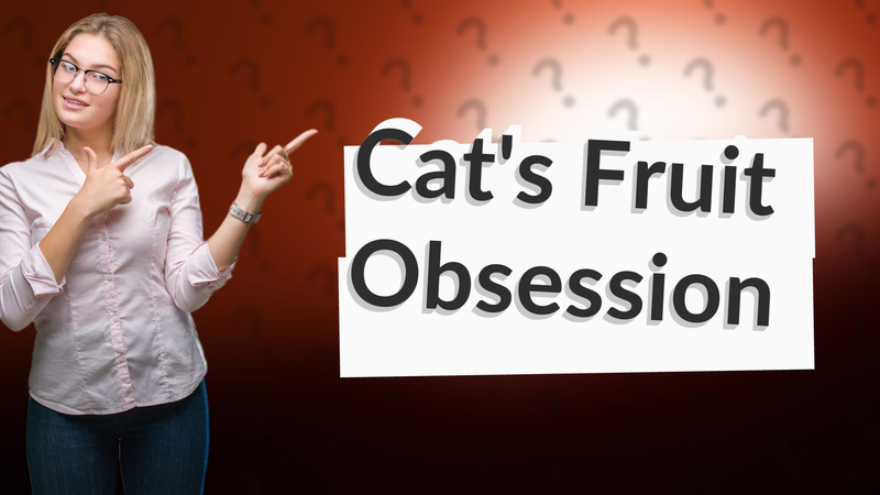 Cat's Fruit Obsession