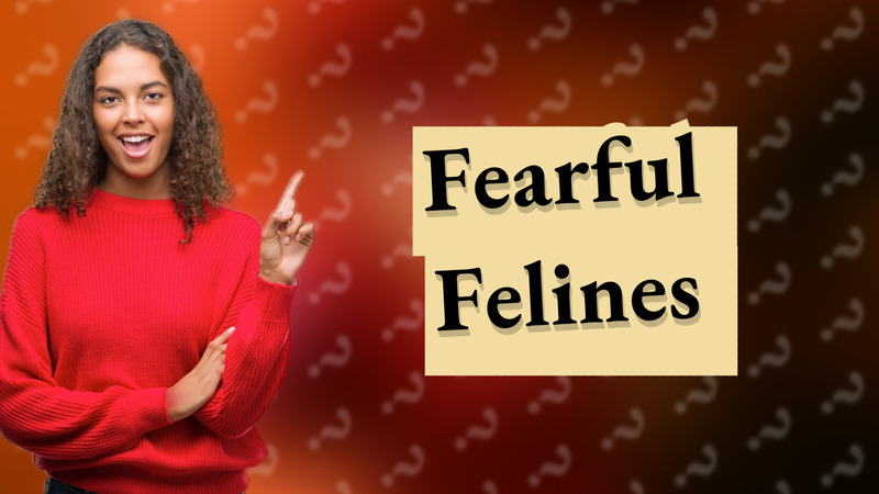 Fearful Felines