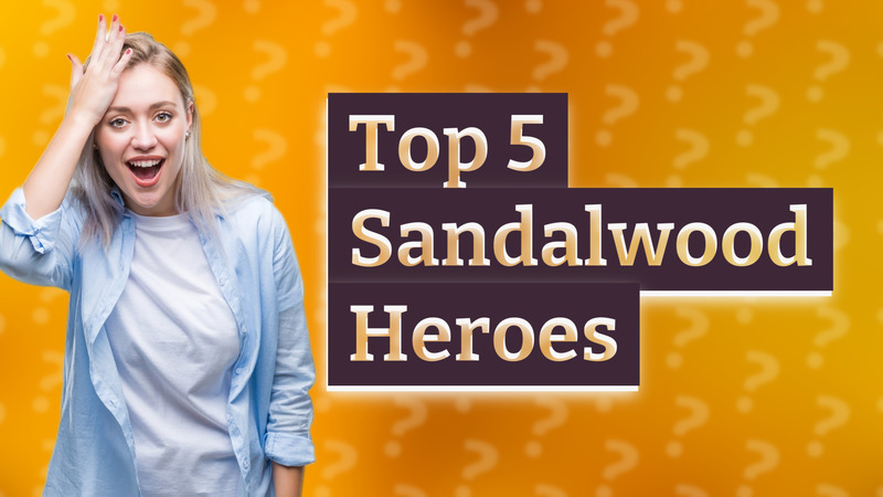 Top 5 Sandalwood Heroes