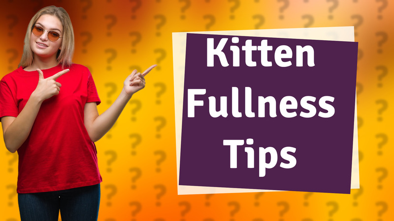 Kitten Fullness Tips
