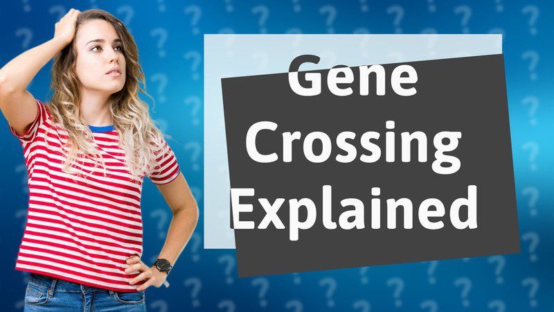Gene Crossing Explained