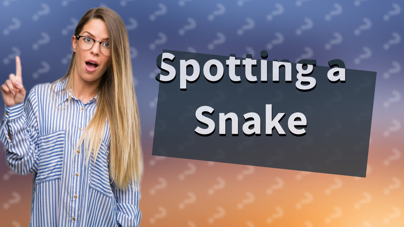 Spotting a Snake