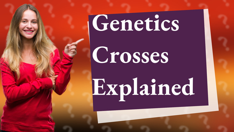 Genetics Crosses Explained