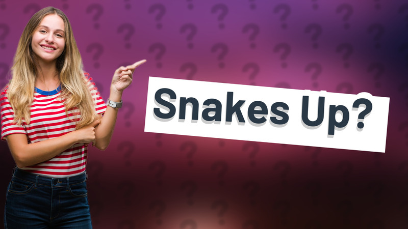 Snakes Up?