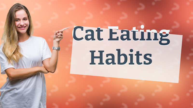 Cat Eating Habits