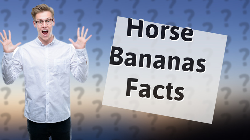 Horse Bananas Facts