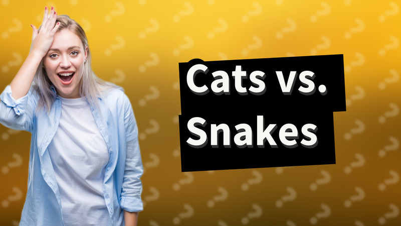 Cats vs. Snakes