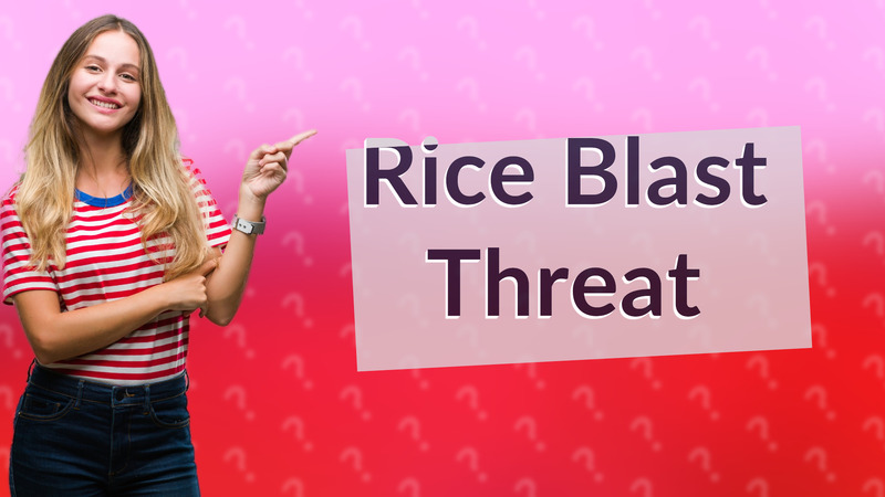 Rice Blast Threat