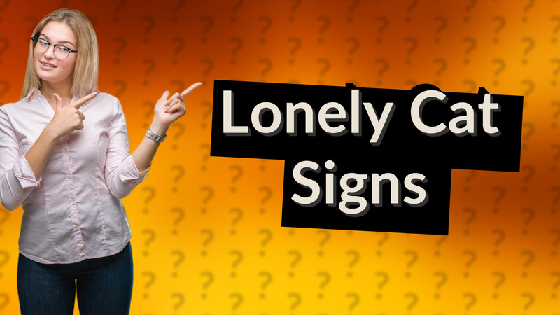 Lonely Cat Signs