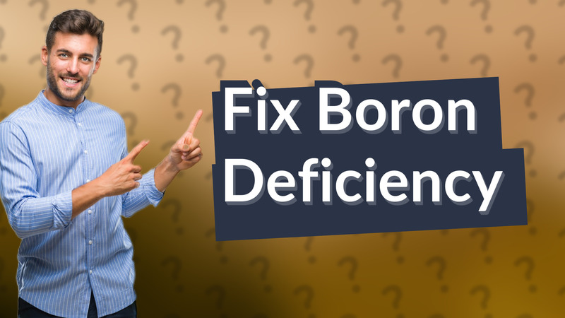Fix Boron Deficiency
