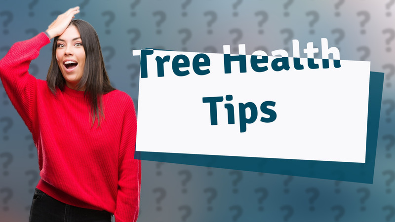 Tree Health Tips