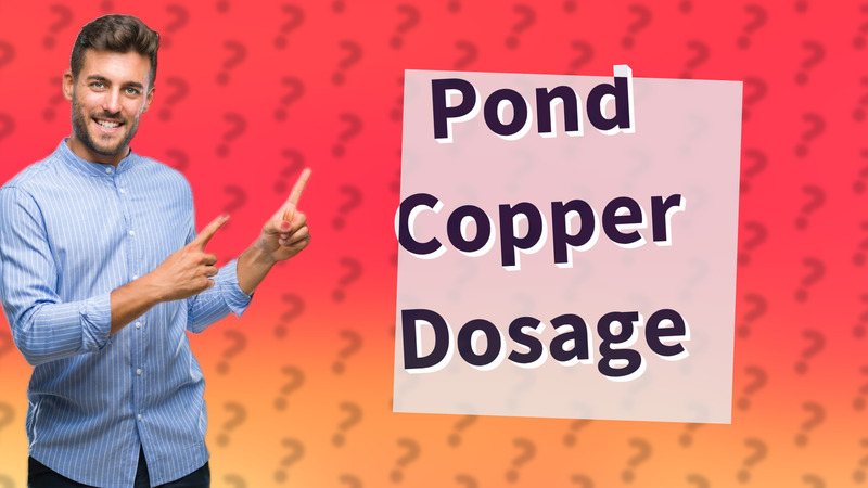 Pond Copper Dosage
