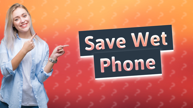 Save Wet Phone
