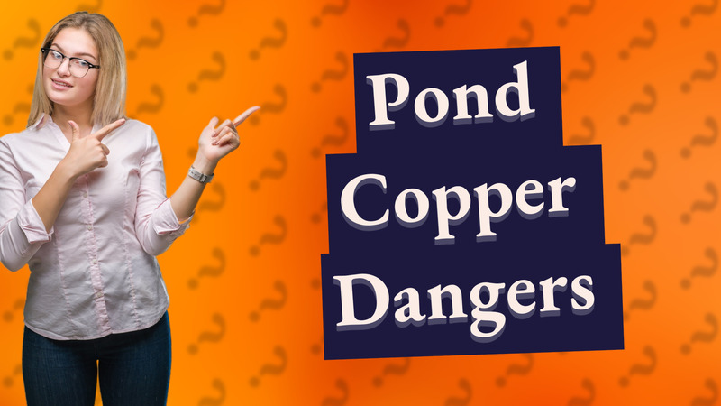 Pond Copper Dangers