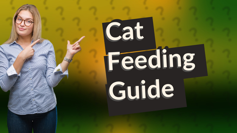 Cat Feeding Guide