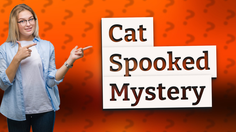 Cat Spooked Mystery