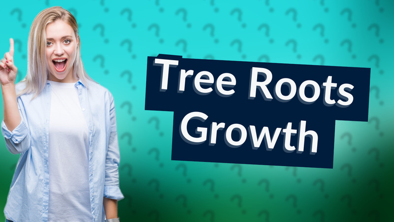 Tree Roots Growth