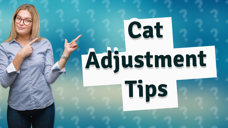 Cat Adjustment Tips