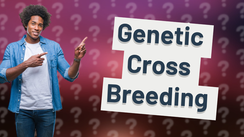 Genetic Cross Breeding