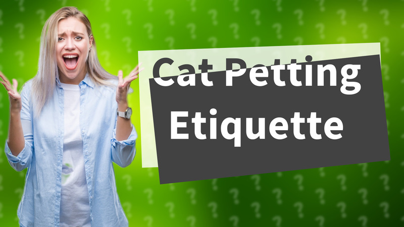 Cat Petting Etiquette