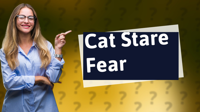 Cat Stare Fear