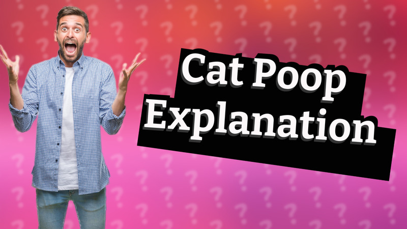 Cat Poop Explanation