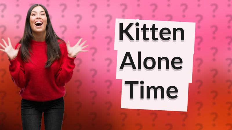 Kitten Alone Time