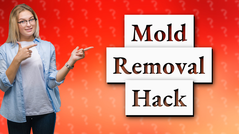 Mold Removal Hack