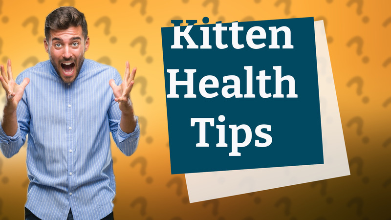 Kitten Health Tips