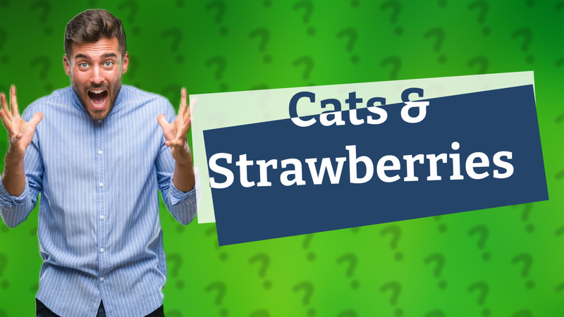 Cats & Strawberries