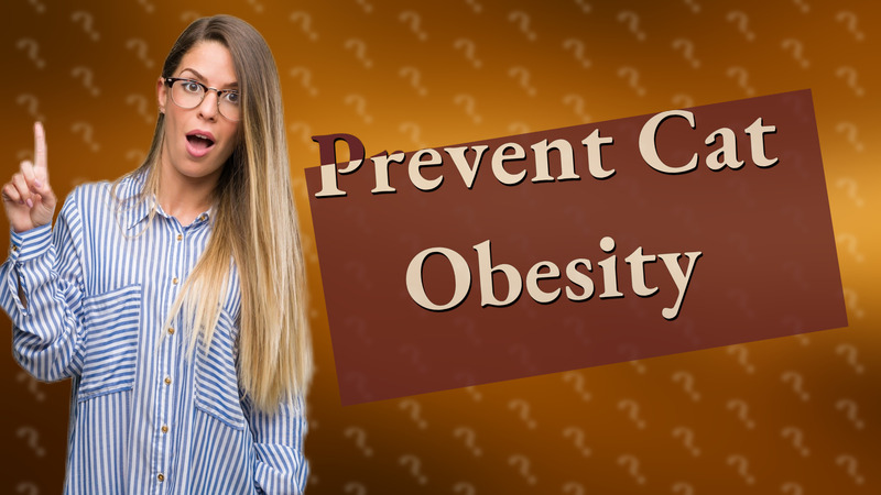 Prevent Cat Obesity