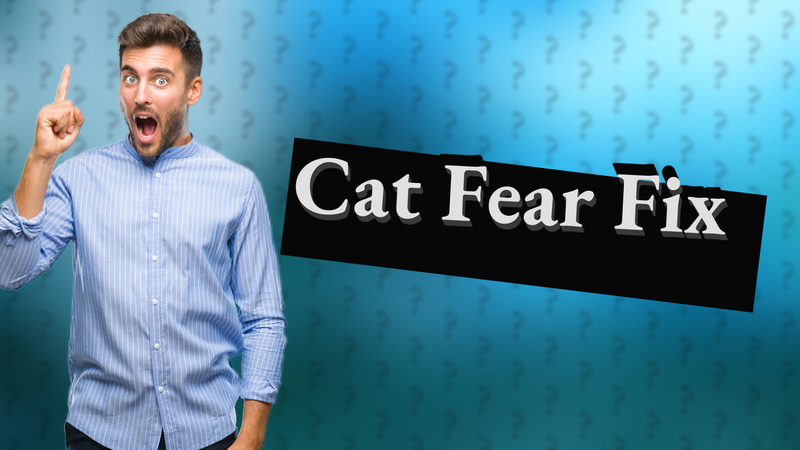 Cat Fear Fix