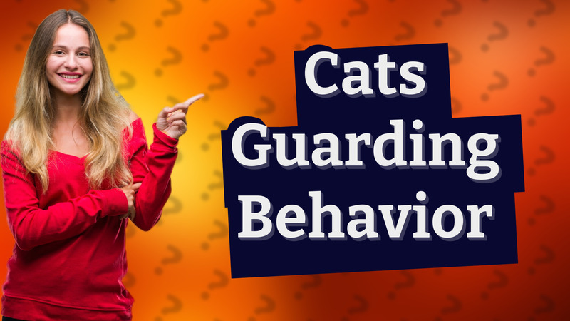 Cats Guarding Behavior