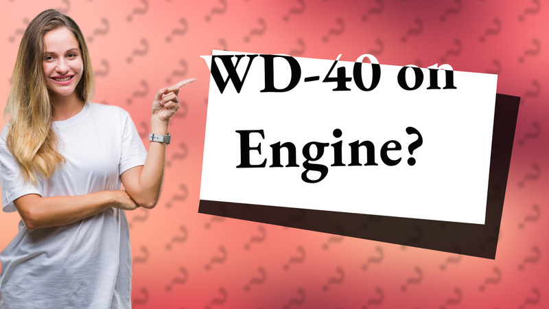 WD-40 on Engine?
