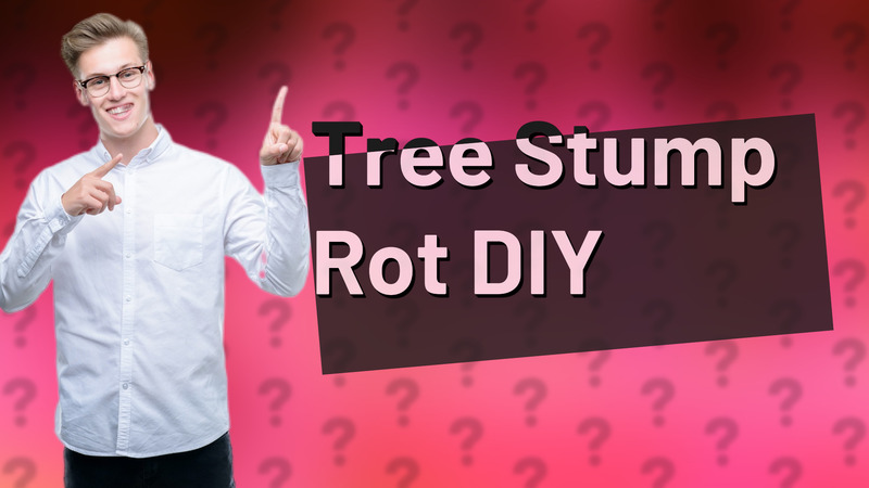 Tree Stump Rot DIY