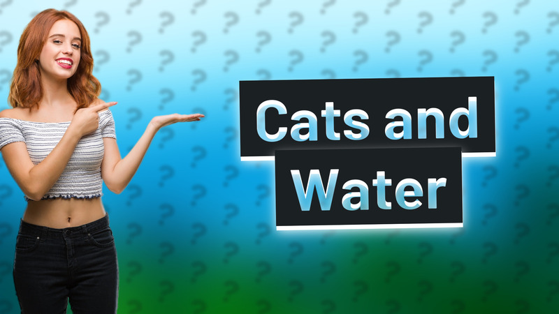 Cats and Water