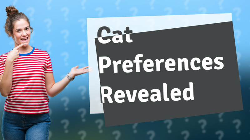 Cat Preferences Revealed