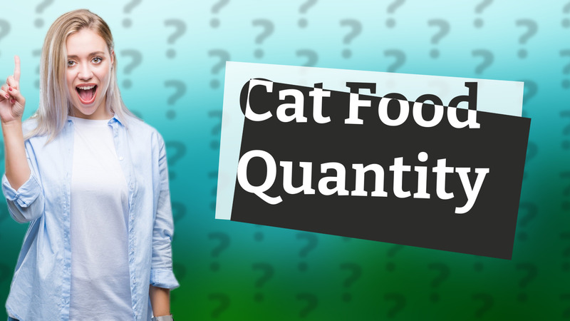 Cat Food Quantity