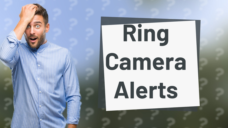 Ring Camera Alerts