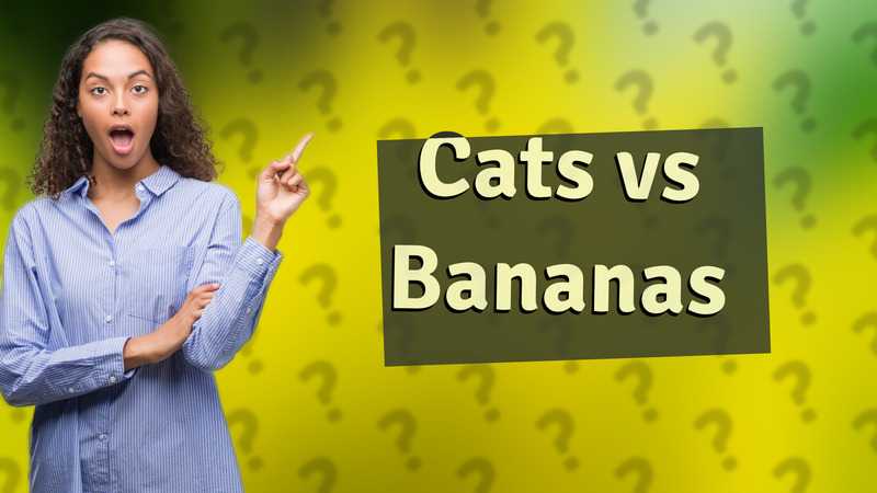 Cats vs Bananas