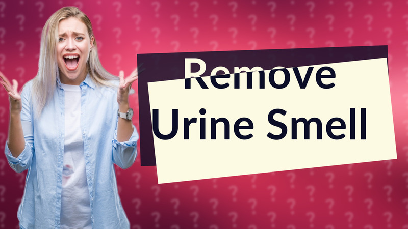 Remove Urine Smell