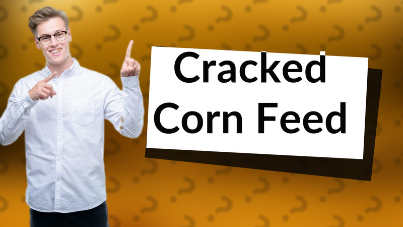 Cracked Corn Feed
