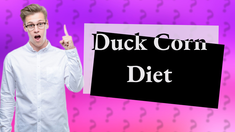 Duck Corn Diet