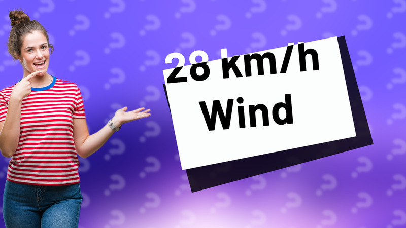 28 km/h Wind