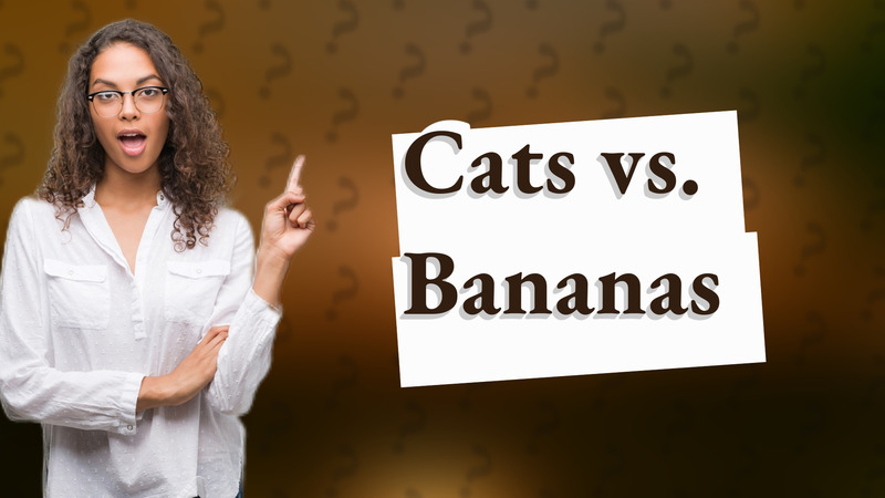 Cats vs. Bananas