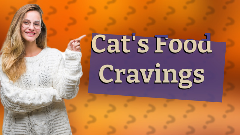Cat's Food Cravings