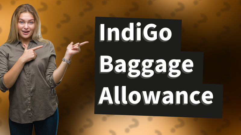 IndiGo Baggage Allowance