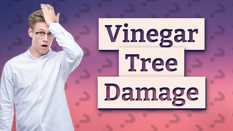 Vinegar Tree Damage