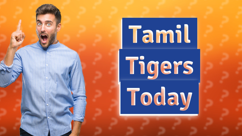 Tamil Tigers Today